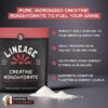 Lineage Provisions Creatina Micronizada Mezclada En Vaso