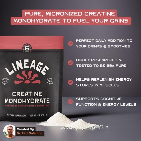 Lineage Provisions Creatina Micronizada Mezclada En Vaso