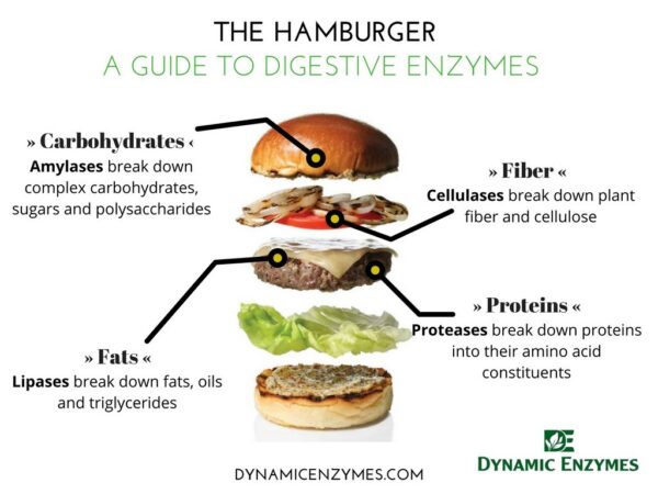 Empaque y caja de Lipase Plus