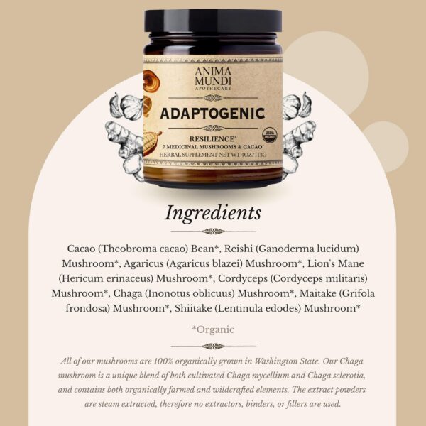 Lista de ingredientes de gotas adaptogénicas 7 hongos