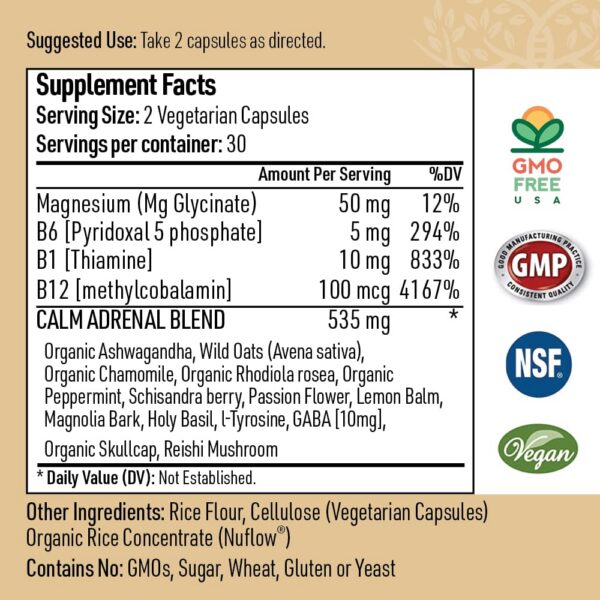 Version 1.0.0 Frente de Zen Calm con branding