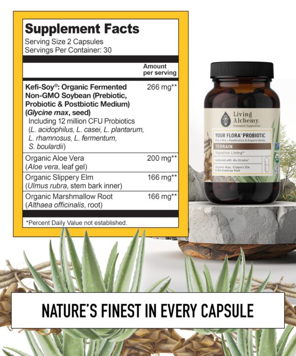 Living Alchemy Your Flora suplemento prebióticos y postbióticos