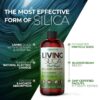 Living Silica botella 500 ml para colágeno y piel