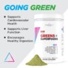 Livingood Daily Greens polvo mezcla para salud digestiva