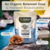 Caja y botella Extracto orgánico Maitake 100g