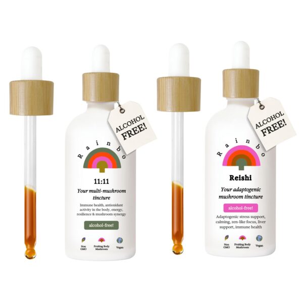 Lote de hongos Rainbo sin alcohol con extracto 11:11 y Reishi