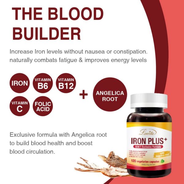 Detalle de ingredientes Lovita 6 en 1