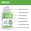 MAAC10 Suplemento de NADH en uso