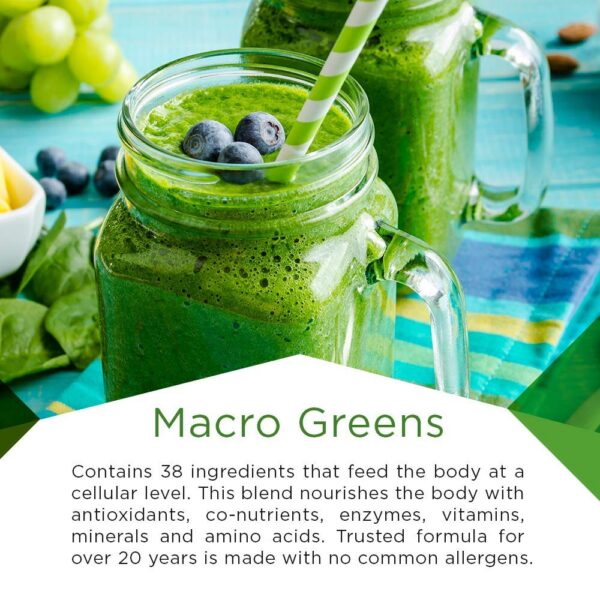 Macro Greens polvo vitaminas y enzimas naturales vegano