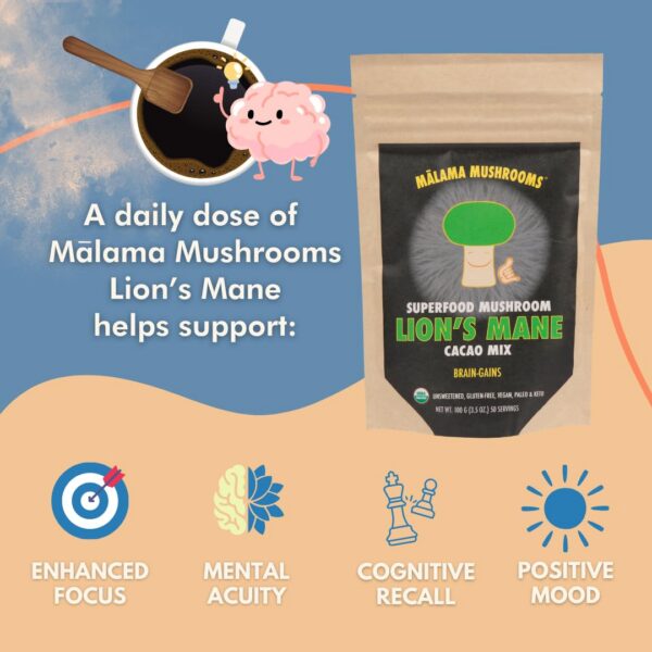 Detalle de polvo orgánico para bebida de cacao con melena de león