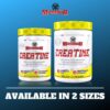 Caja Mammoth Creatine presentacion