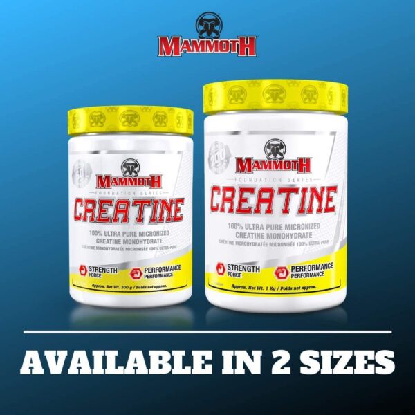 Caja Mammoth Creatine presentacion