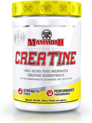 Version 1.0.0 Mammoth Creatine frasco frontal
