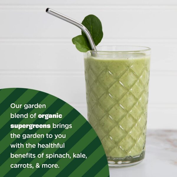 Manitoba Harvest supergreens polvo vegano y keto para batidos