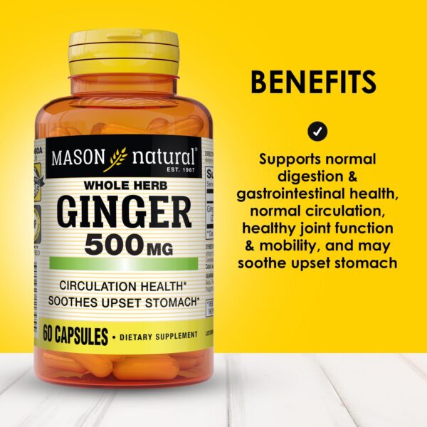 Mason Natural cápsulas de jengibre herbal saludables para digestión