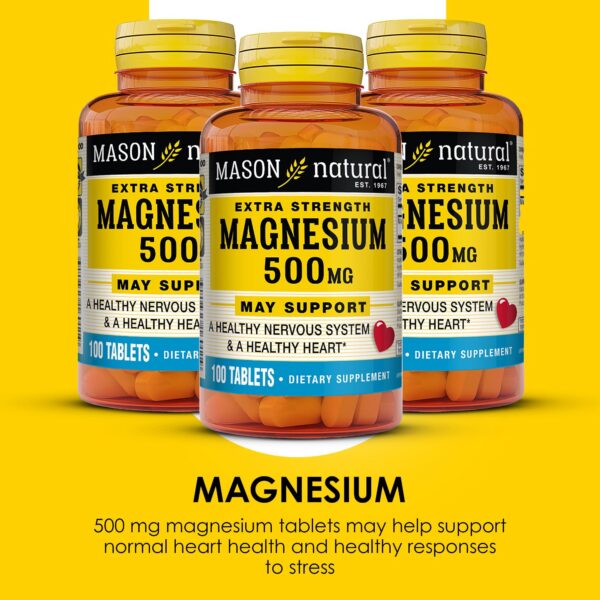 Tabla de información Mason Natural Magnesio