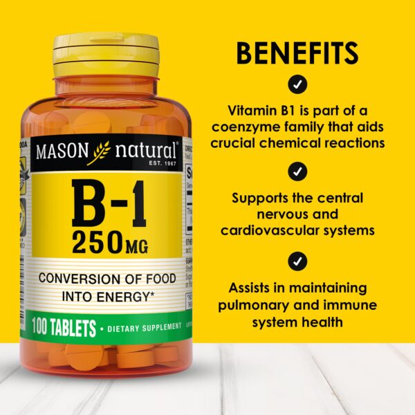 Etiqueta de Mason Natural Vitamina B1 tiamina
