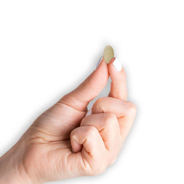 MASON NATURAL vitaminas renales paquete