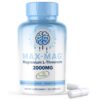 Frasco de Max-Mag Magnesium L-Threonate 105 cápsulas