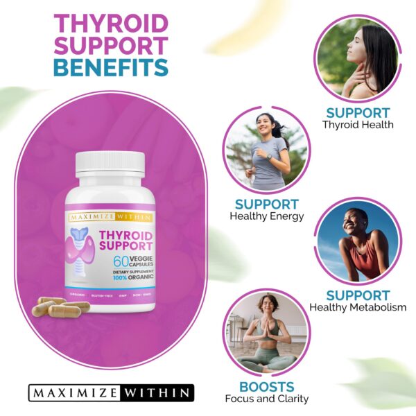 Version 1.0.0 Ingredientes de Maximize Within