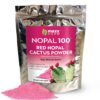 Maxx Herb polvo de nopal rojo bolsa frontal