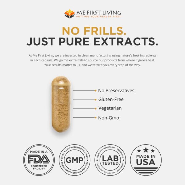 Me First Living suplemento nootrópico con melena de león