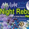 medida polvo Night Rebuild para mezcla con agua o jugo