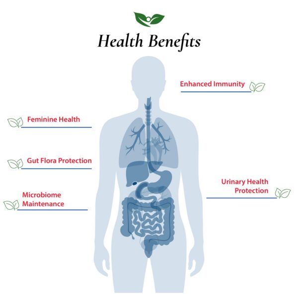Medidores incluidos con suplemento probiótico Foods For Gut