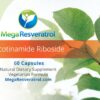 Version 1.0.0 Etiqueta NR y resveratrol detalle