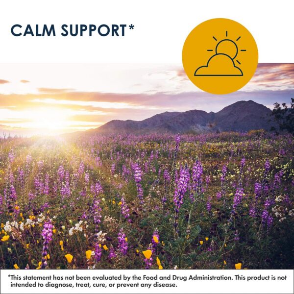 Frasco Metabolic Maintenance L-metilfolato