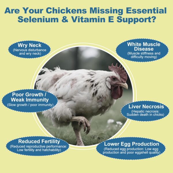 Version 1.0.0 Mezcla para alimento con selenio y vitamina E