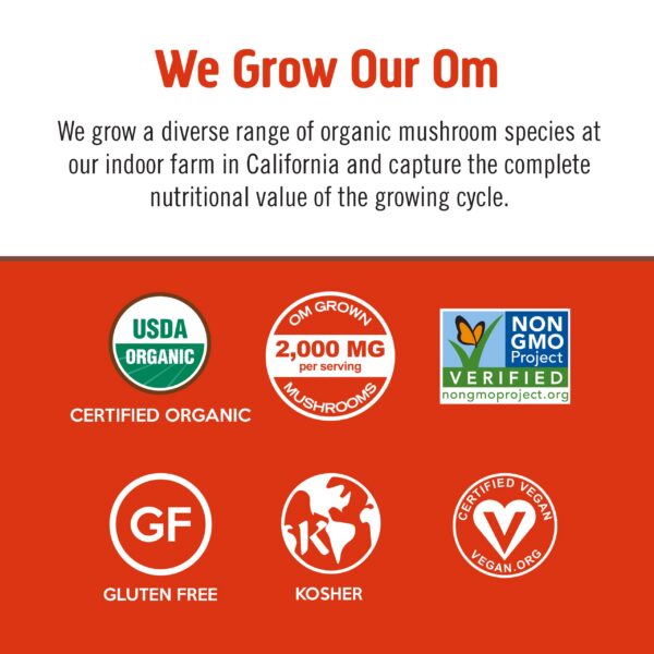 Mezcla energética hongos Cordyceps y Maca OM Mushroom Superfood