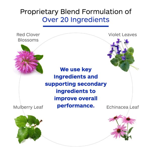 Version 1.0.0 Mezcla enzimática exclusiva para mejor absorción y limpieza celular