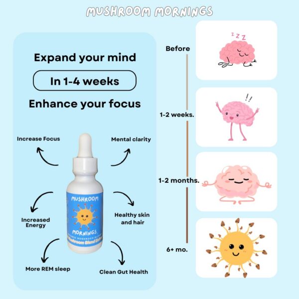 Mezcla de hongos adaptógenos y antioxidantes