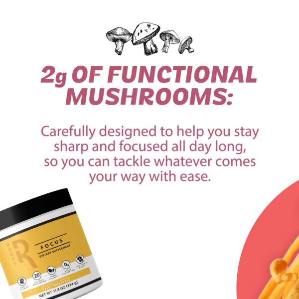 Mezcla de hongos para foco mental y energía limpia