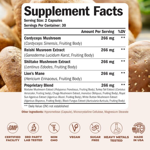 Version 1.0.0 mezcla hongos reishi cordyceps melena de leon chaga