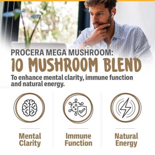 Mezcla natural de hongos melena de león, chaga y cordyceps