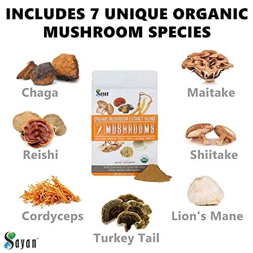 Mezcla organica de 7 hongos Sayan en polvo