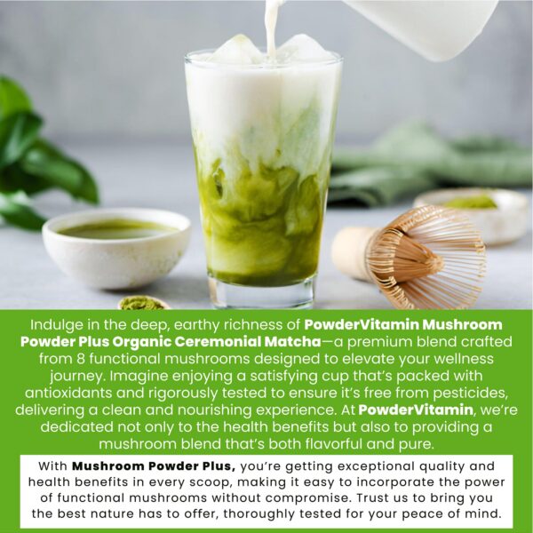 Mezcla orgánica PowderVitamin Matcha con 8 hongos y colágeno