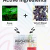 Version 1.0.0 Mezcla en polvo kava 250mg para bebida adaptógena sin alcohol