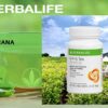 Version 1.0.0 Mezcla de polvo para té guaraná Herbalife N-R-G 2.1 onzas