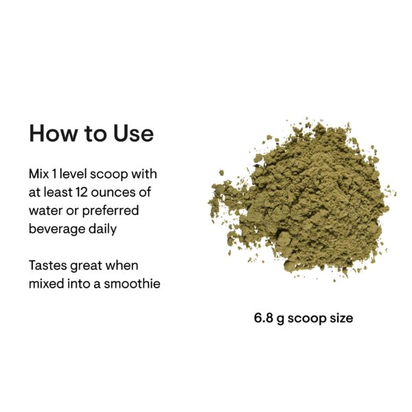 Mezcla polvo vegetal Daily Greens Plus suple salud