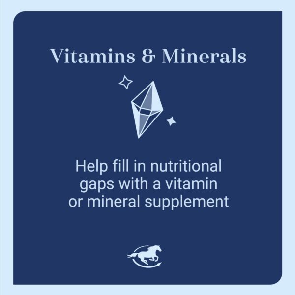 Mezcla de polvo de zinc polisacarido en cuenco