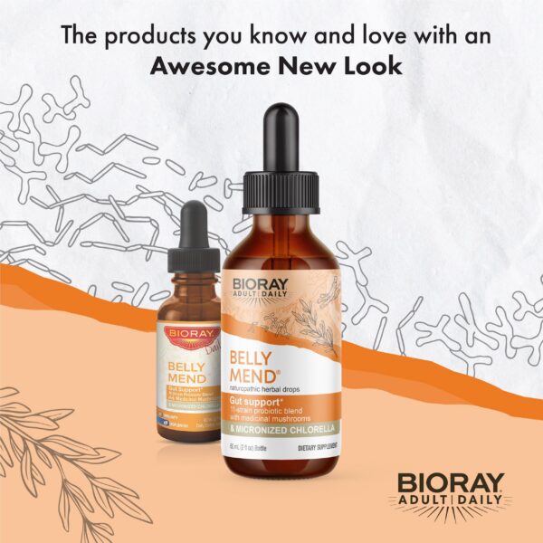 Mezcla probiótica 11 cepas con hongos medicinales BIORAY Daily Belly Mend