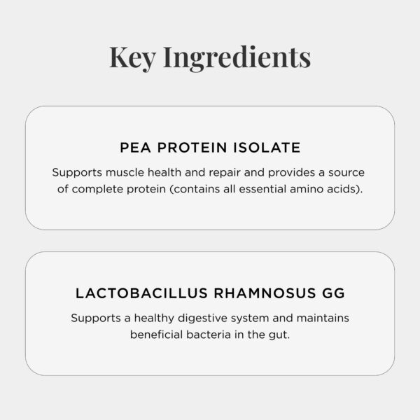 Version 1.0.0 Mezcla en polvo de vainilla para batidos