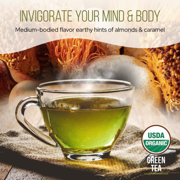 Version 1.0.0 Mezcla de té verde y hongos para preparación