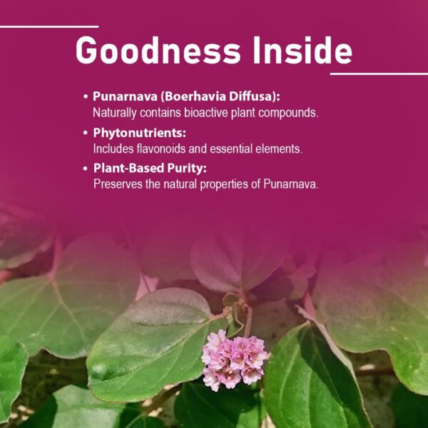 Mi Nature Punarnava tabletas imagen cercana producto