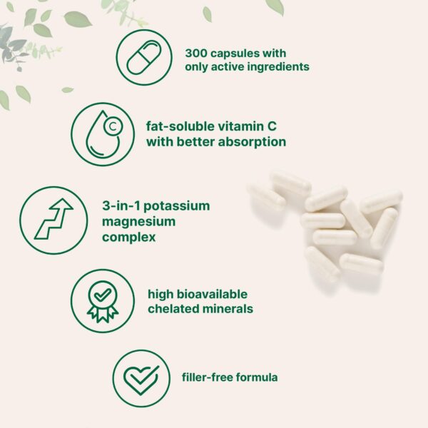 Lista de ingredientes en etiqueta