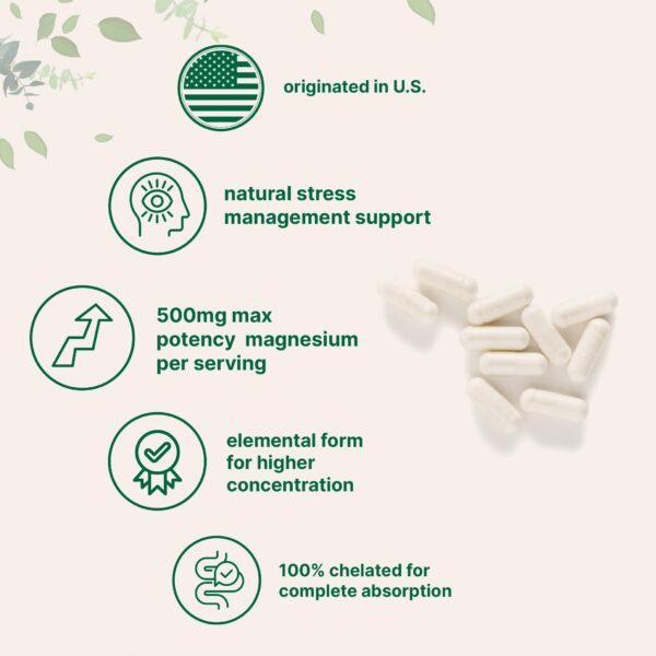 Detalles de información del producto en etiqueta