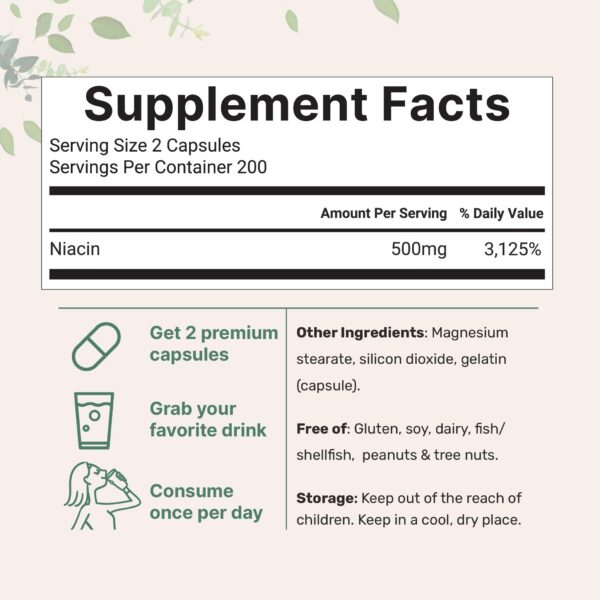 Micro Ingredients suplemento niacina 500mg envase